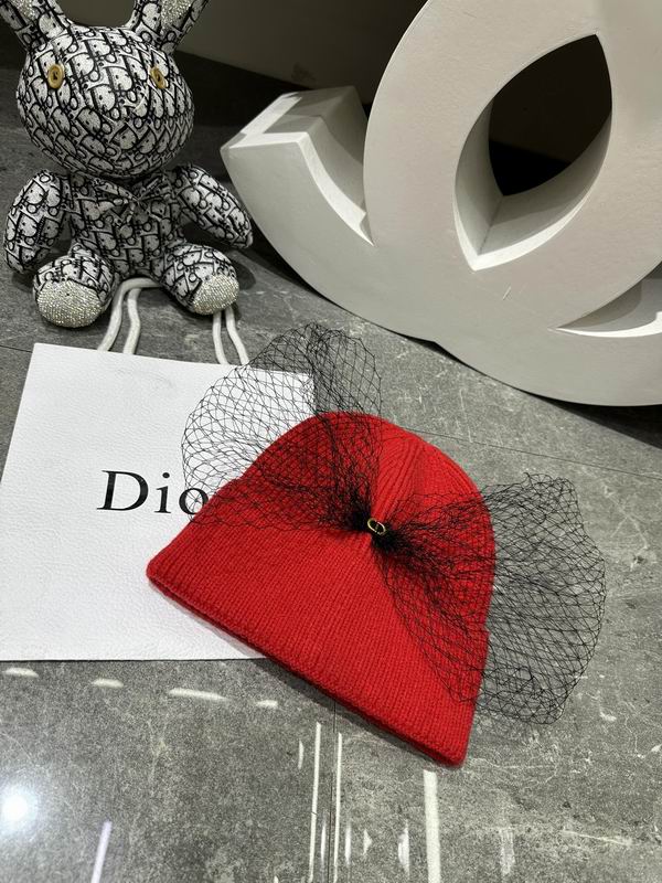 Dior Beanie ID:20260111-66